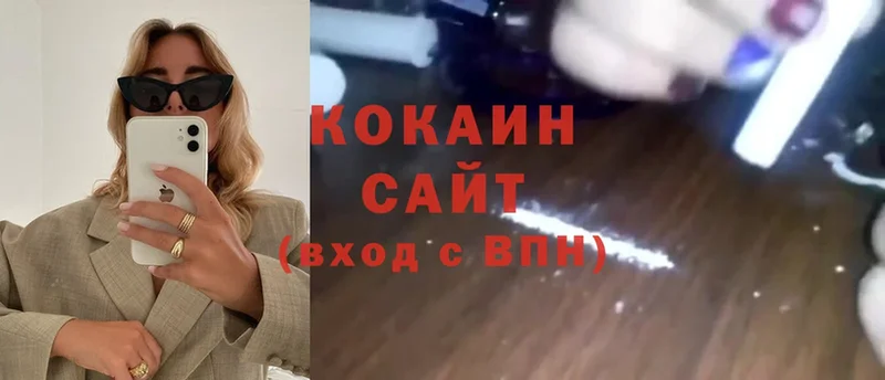 ссылка на мегу как войти  Губкинский  Cocaine FishScale 