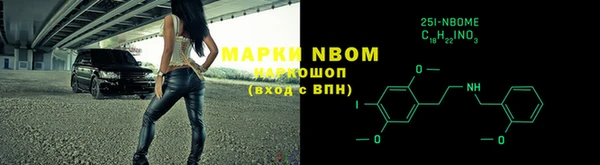 бошки Няндома