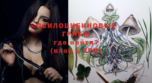 бошки Няндома
