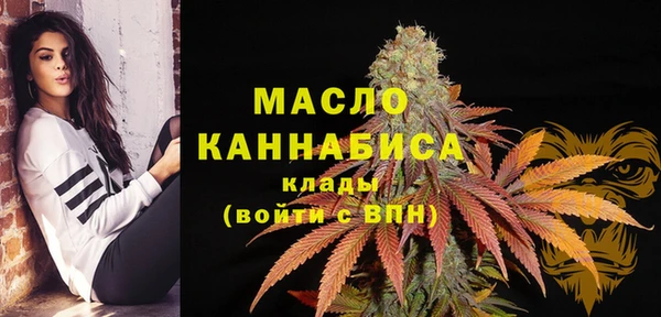 бошки Няндома