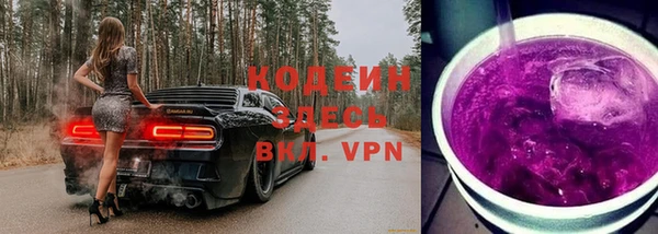 бошки Няндома