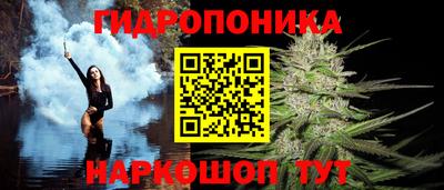 стаф Волжск