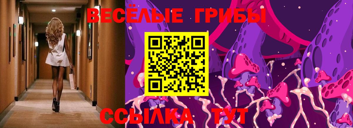 Галлюциногенные грибы Cubensis Губкинский