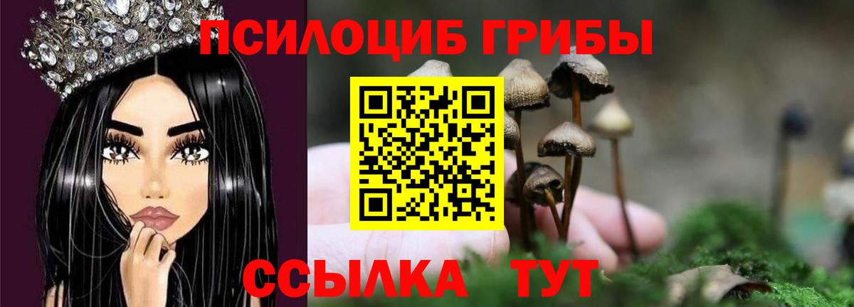 Галлюциногенные грибы Cubensis  Губкинский 